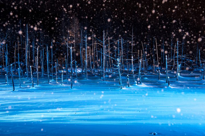 漆黒の闇夜に浮かぶ青の光と満天の星空 冬の夜の 青い池 が幻想的すぎる Retrip リトリップ