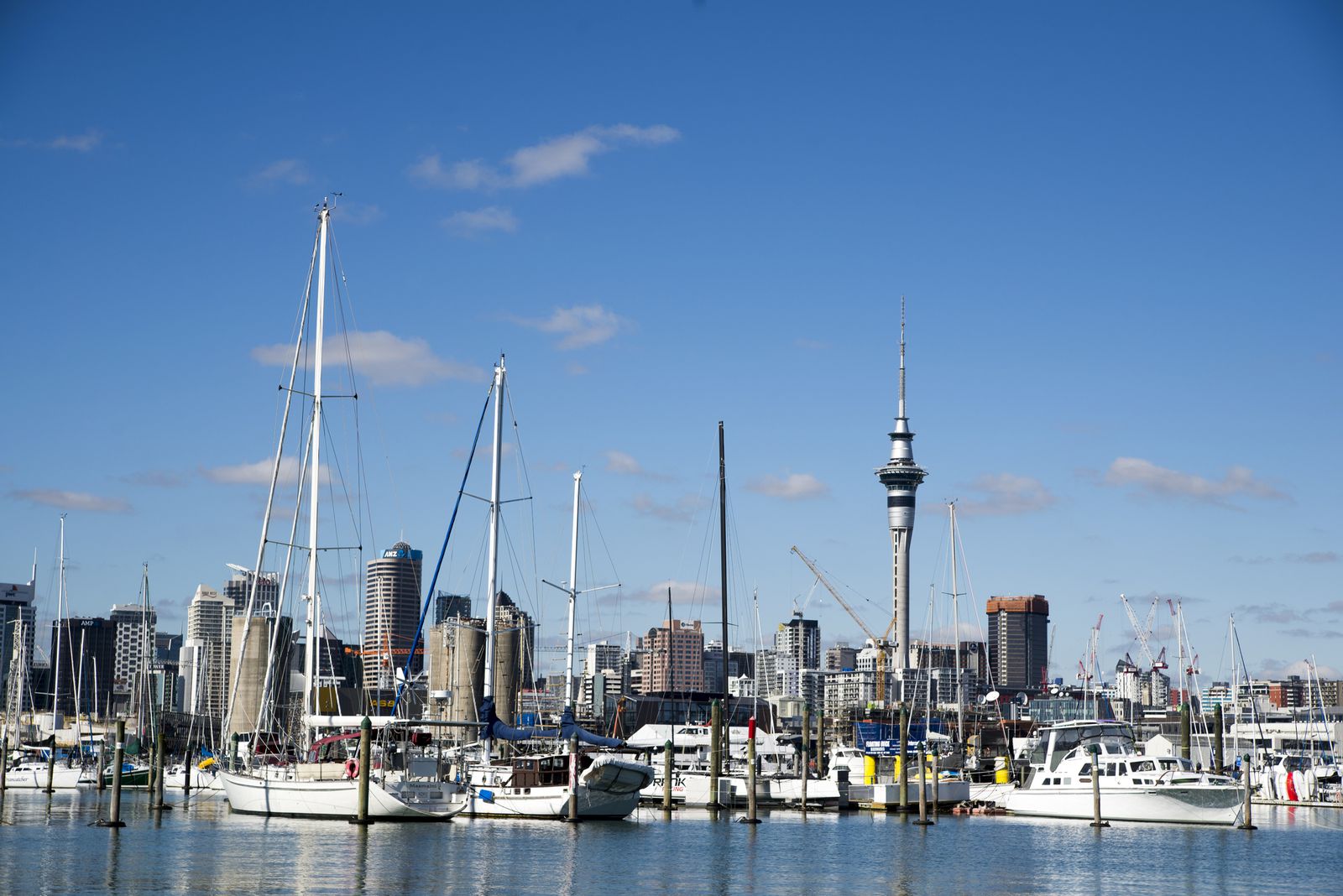 1日で大満足 ニュージーランドの最大都市オークランドを満喫できる1日プラン Retrip リトリップ