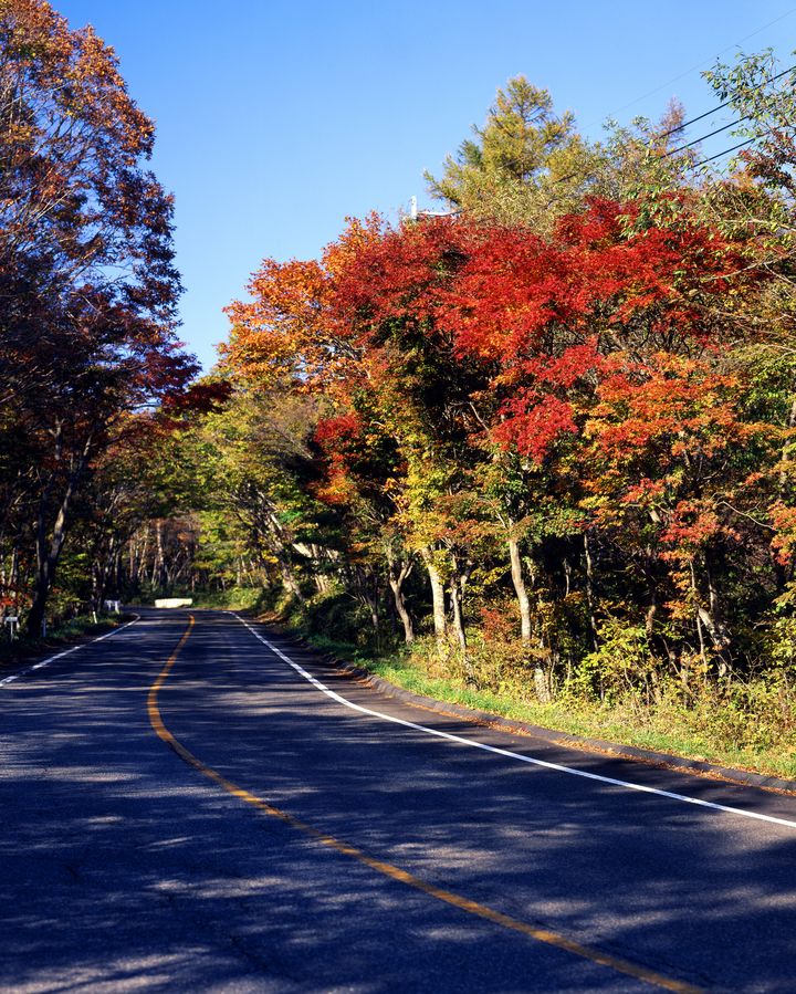 関東一の景色 絶対行きたい栃木の紅葉名所ランキングtop5 Retrip リトリップ