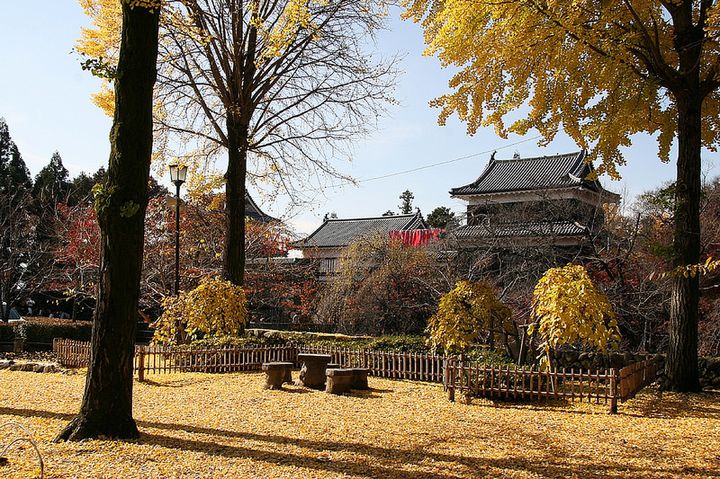 秋を満喫 ステキすぎる長野の紅葉名所ランキングtop5 Retrip リトリップ