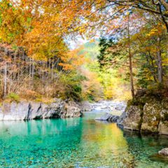 美しき景色に心癒される 春に行きたい日本の 癒しの絶景スポット 12選 Retrip リトリップ