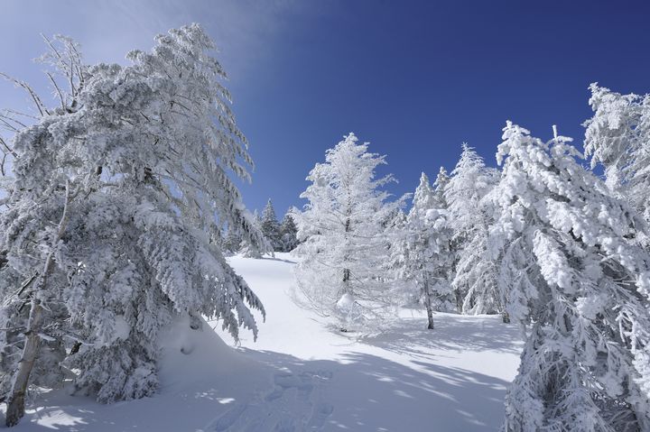 日本の冬が生み出す美しい光景 冬に行きたい 長野県の冬の絶景スポット 10選 Retrip リトリップ