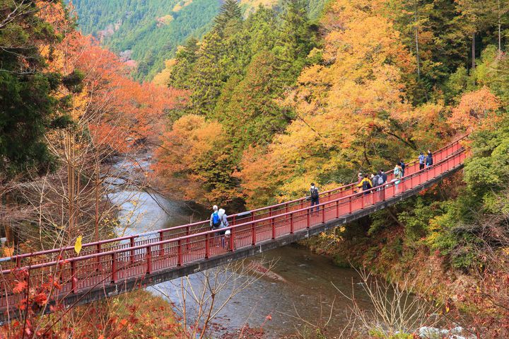 【中古】 関東周辺紅葉と味覚ドライブの旅 日帰り・一泊 ’００～’０１/成美堂出版/成美堂出版株式会社 202209_kanto_1_063-220x146.jpg