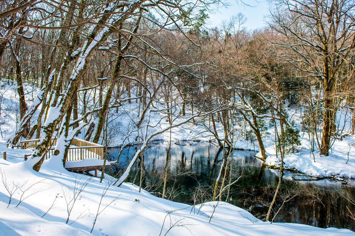 心に染み入る幻想的な雪景色 この冬見たい青森の絶景10選 Retrip リトリップ