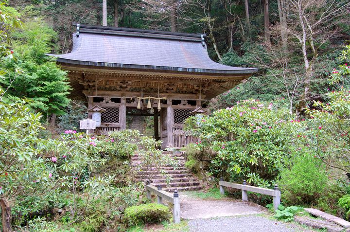 もののけ姫のモデルは 京都 にあった 不思議なパワーを持つ 志明院 とは Retrip リトリップ