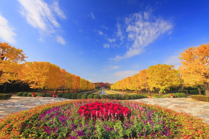 四季って素晴らしい。東京都内の“春夏秋冬別の”おでかけスポット10選