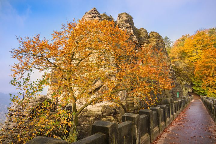 ドイツ ザクセン スイス国立公園 の壮大な自然の息を呑む凄い絶景 旅行キュレーションメディア トラベルザウルス