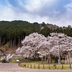 本巣市の魅力を発見！岐阜県本巣市の一度は行くべき観光スポット5選