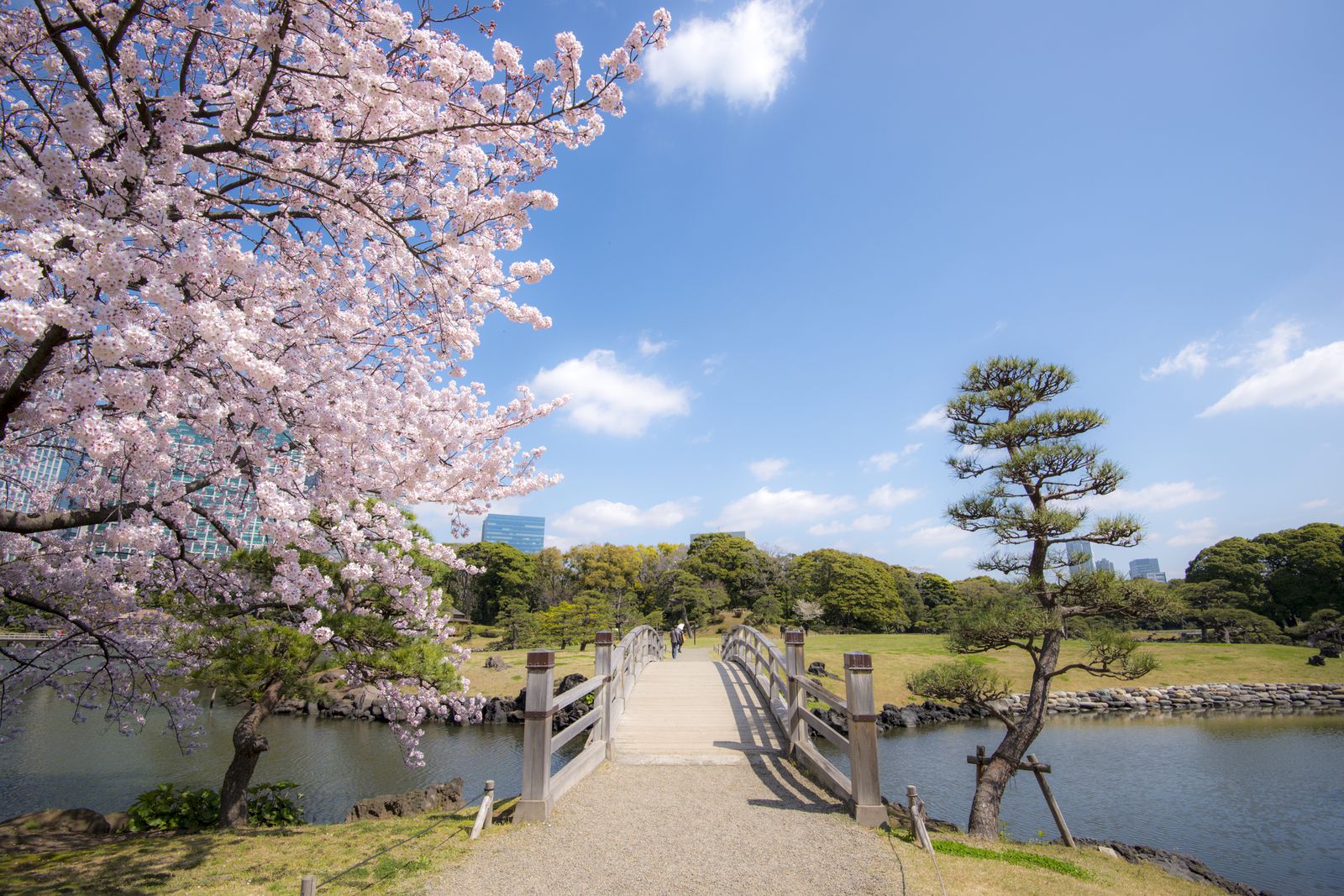 大人女子の休日のすゝめ 東京都内の ひとりで行きたい 春のお散歩スポット7選 Retrip リトリップ