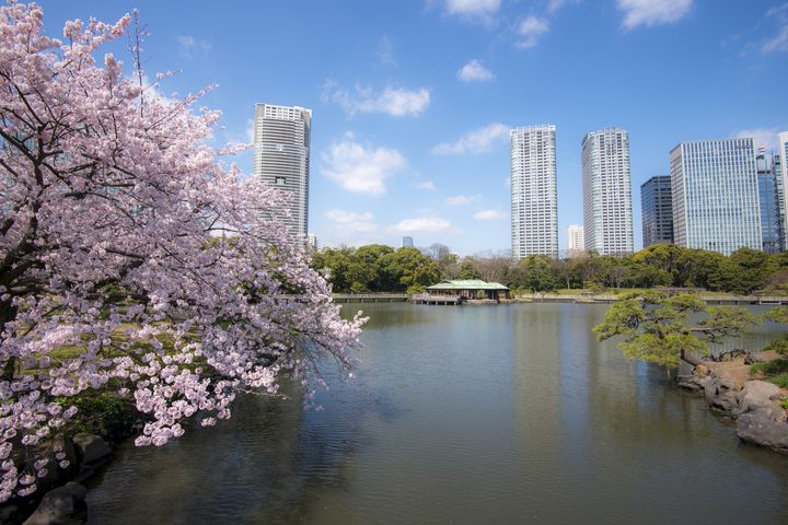 都心に広がる豊かな水辺 浜離宮恩賜庭園 でしたい５つのこと Retrip リトリップ