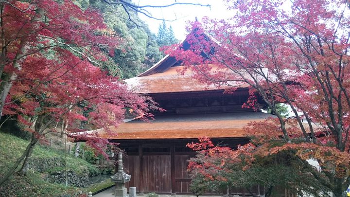 歴史と文化と紅葉狩り 定光寺 定光寺公園 の紅葉がとにかく美しすぎる Retrip リトリップ