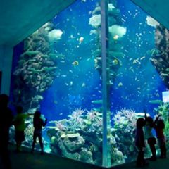 最新 中国地方の人気動物園 水族館ランキングtop25 Retrip リトリップ