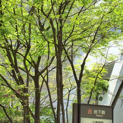 レアポケモンに必ず出会える 大阪府内の ポケモンの巣 まとめ ポケモンgo攻略 Retrip リトリップ