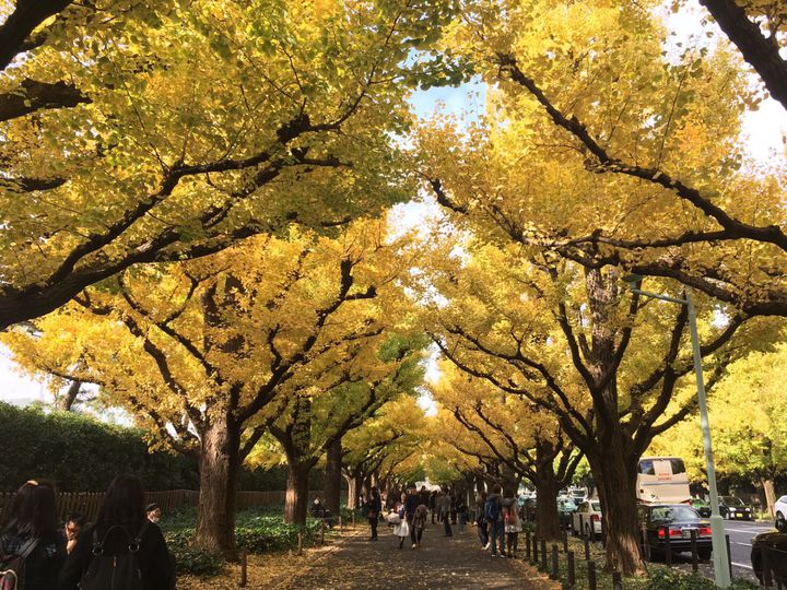 寒さも吹き飛ばす1日に。東京近郊の「11月のデート」でしたい9つのこと