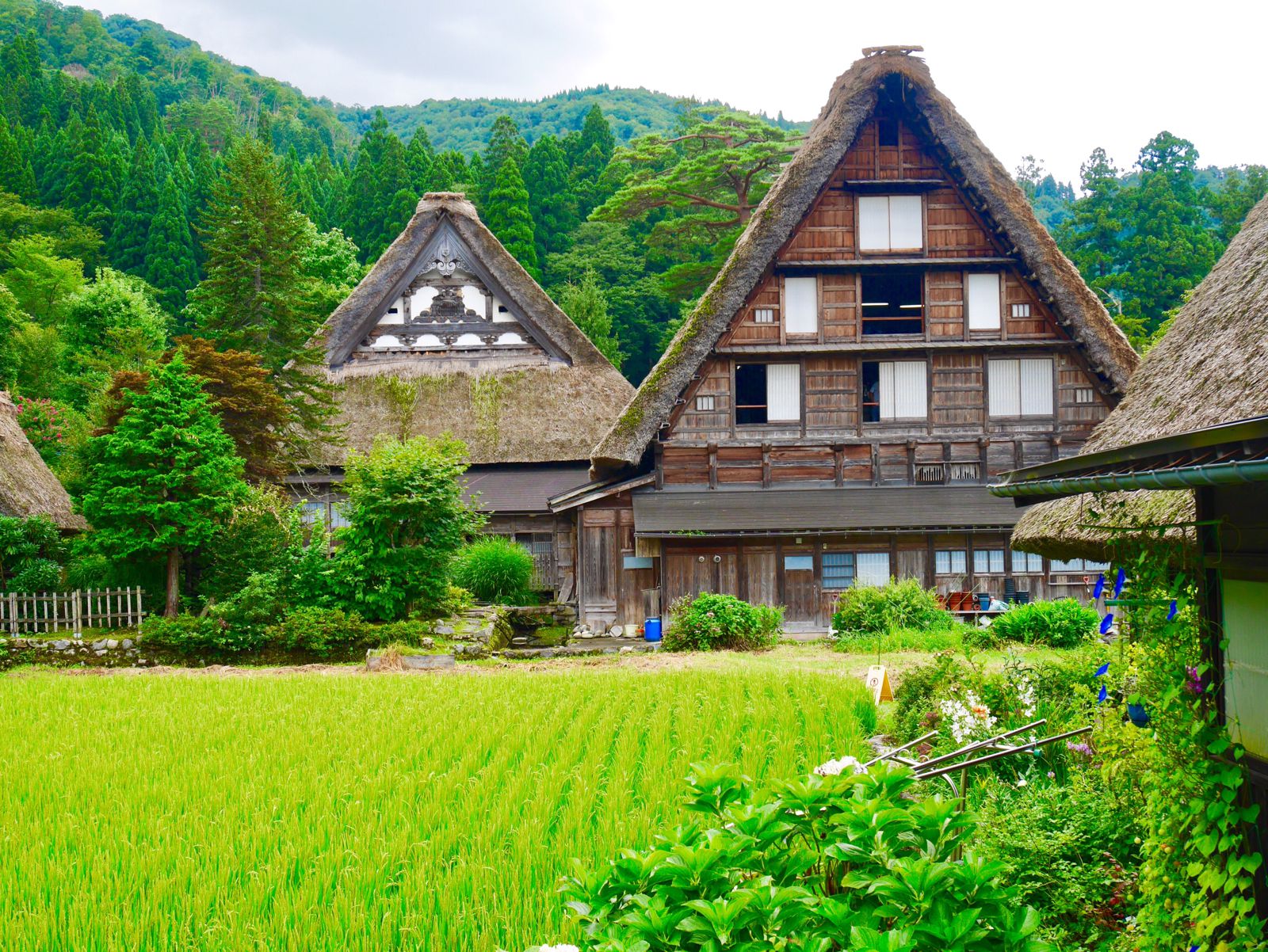 絶景を満喫する日帰り飛騨巡り「飛騨地方」のドライブコースはこれだ！ | くふうトリップ