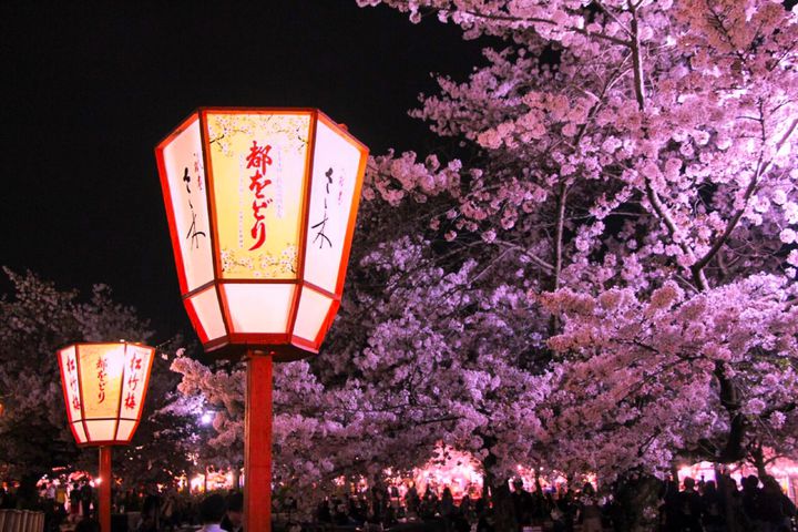 京都でしか見られない 夜桜 が見たい 京都でオススメの夜桜スポット7選 Retrip リトリップ