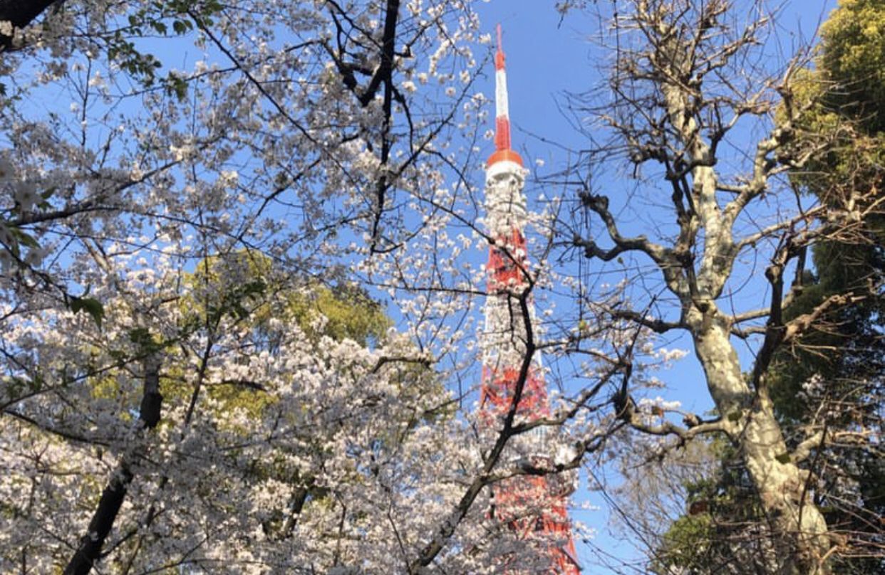 メイン画像 お正月は着物で街歩き 東京都内の着物が似合うエリア おすすめスポット7選 Retrip リトリップ