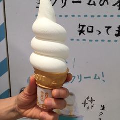 21最新 新宿西口駅周辺の人気アイス ソフトクリーム ジェラートランキングtop29 Retrip リトリップ