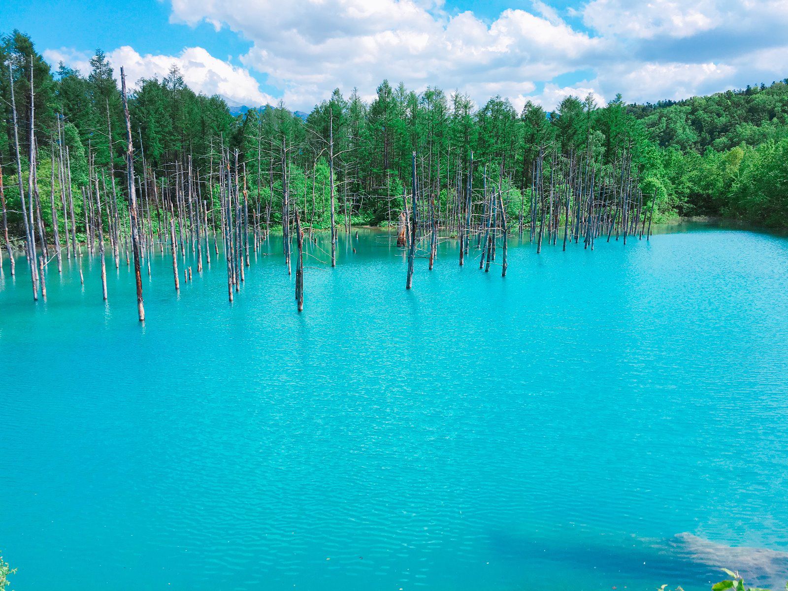 8枚目の画像 Macの壁紙にもなった 北海道 青い池 は誰もが息をのむ美しさ Retrip リトリップ