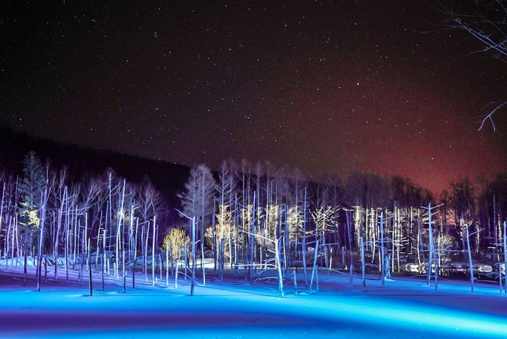 【終了】冬ならではの絶景が見たい。「青い池・白ひげの滝 ライトアップ」開催