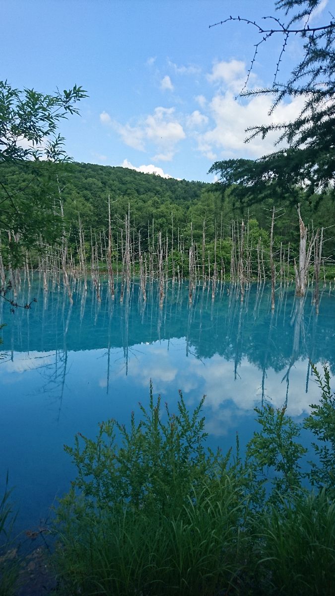 見るだけならいいよね 人生で1度は行きたい日本の 青い 絶景名所選 Retrip リトリップ