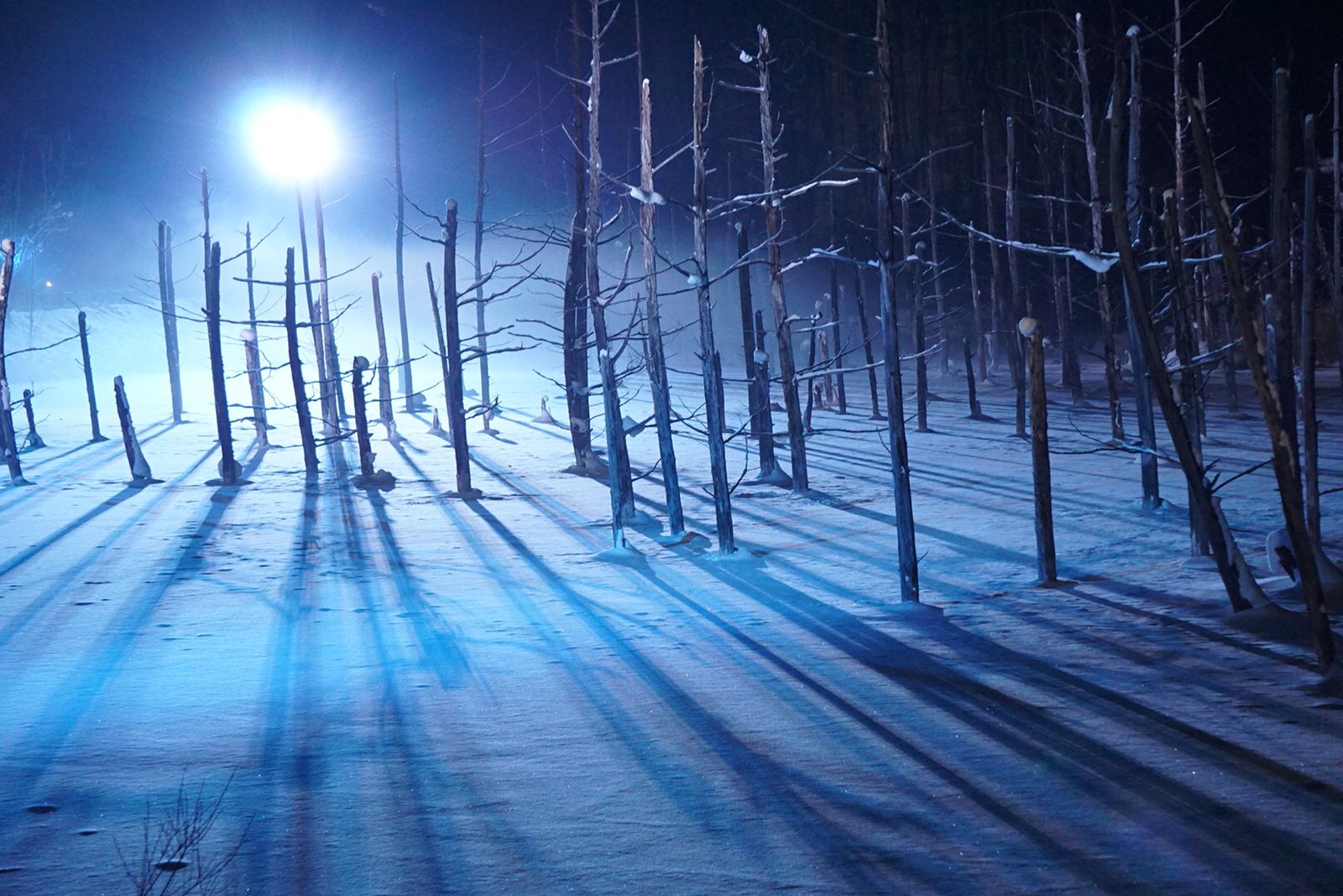 c5f03b8f-445d-472b-8408-