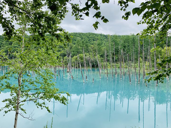 Macの壁紙にもなった 北海道 青い池 は誰もが息をのむ美しさ Retrip リトリップ