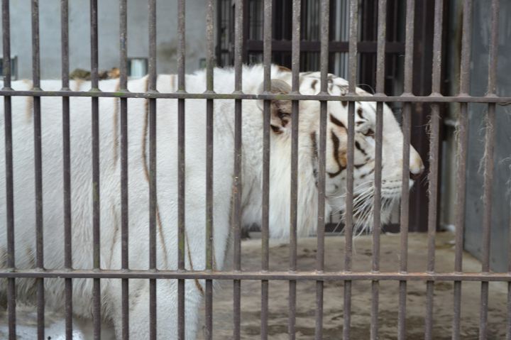 見る？体験する？遊ぶ？「宇都宮動物園」でしたい7つのこと