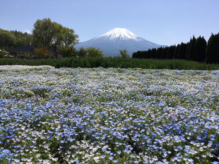 ぶらり大自然を満喫 カテゴリ別 山梨女子旅 でおすすめの最旬スポット10選 Retrip リトリップ