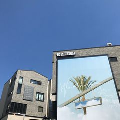 ニュース画像