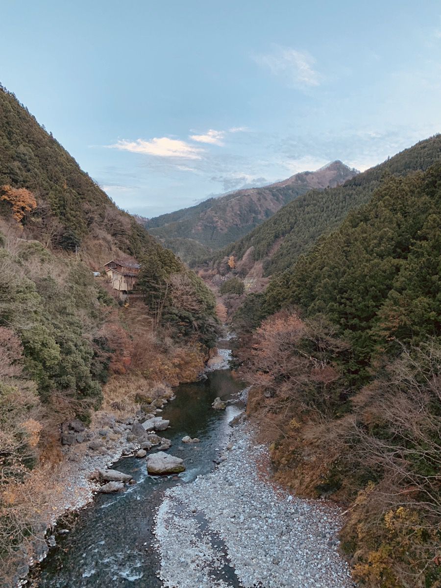 東京都立奥多摩湖畔公園 山のふるさと村 RETRIP[リトリップ]