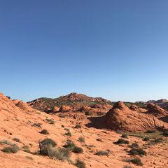 1日人の入場制限 米国 コヨーテビュート の ザ ウェーブ の魅力 Retrip リトリップ