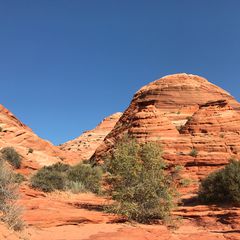 1日人の入場制限 米国 コヨーテビュート の ザ ウェーブ の魅力 Retrip リトリップ