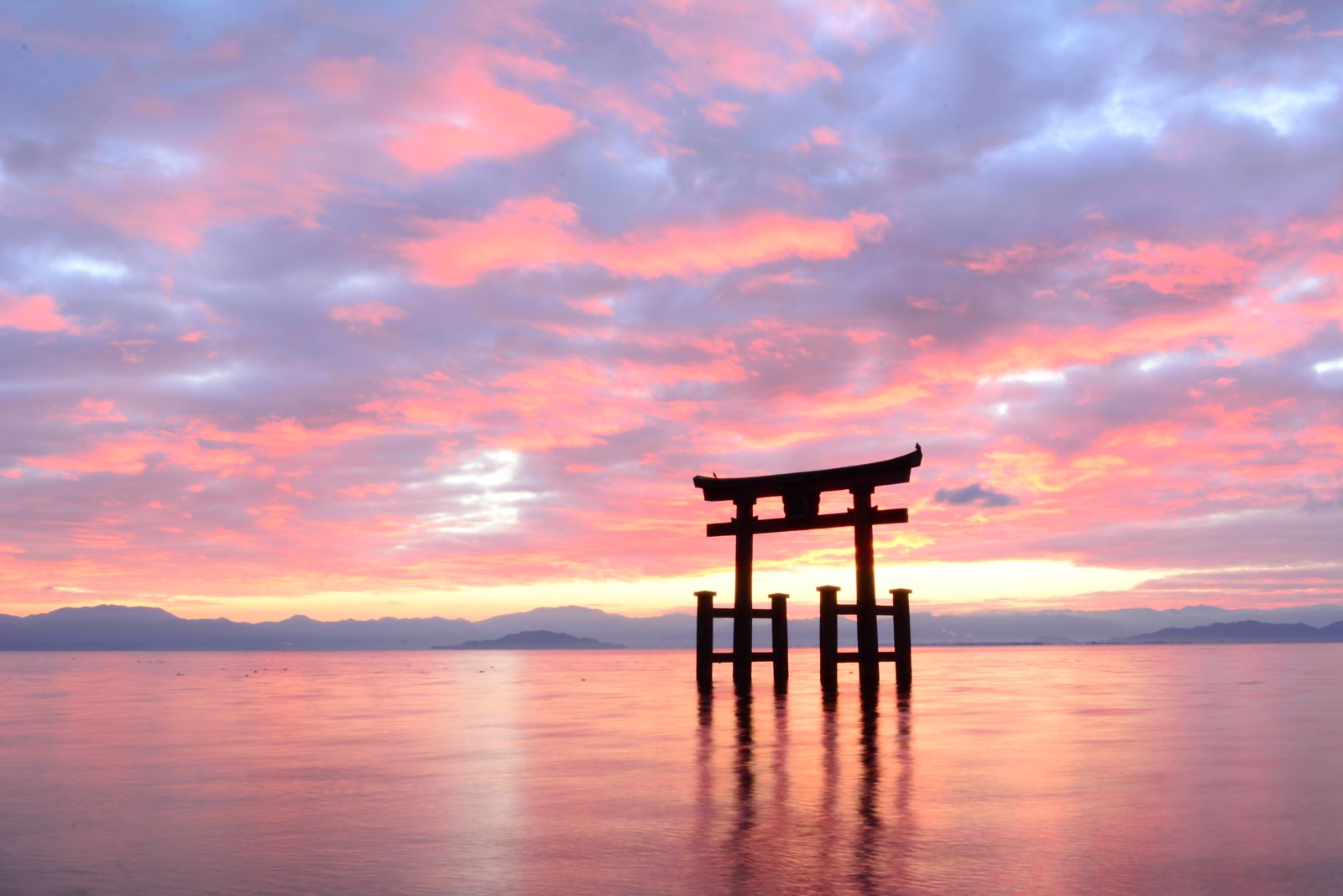 日本にしかない風景 日本全国の水辺にたたずむ美しい 鳥居 10選 Retrip リトリップ