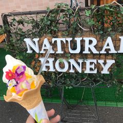 大型ソフトクリームライト HONEY TOP ハニートップ ライト点灯OK