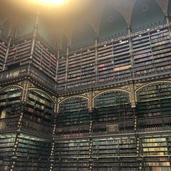 まるで魔法学校 本に一切触れられない 幻想図書館 が美しすぎる Retrip リトリップ