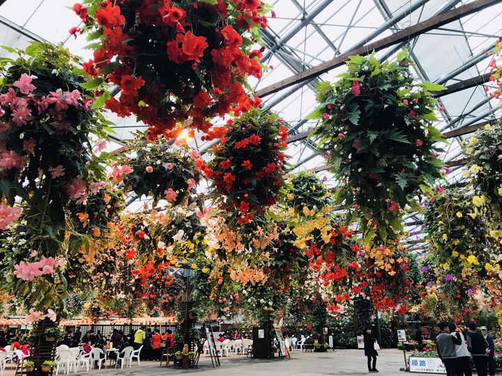 終了 島根県の 松江フォーゲルパーク でイルミネーションが開催決定 Retrip リトリップ