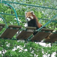 旭山動物園とセットで行きたい 近くの観光見たいことやりたいこと15選 Retrip リトリップ