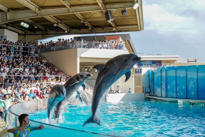 子供連れ家族旅行に行くなら！「鎌倉」で行きたい10の場所をご紹介