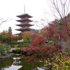 天橋立 が綺麗に見られる 京都 成相寺 の真っ赤な紅葉が美しい Retrip リトリップ