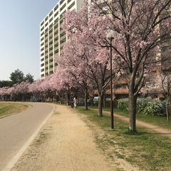 21最新 大阪狭山市駅周辺の人気自然 公園ランキングtop1 Retrip リトリップ