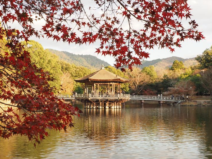 ジャンル豊富なインスタ映えの宝庫。奈良県のフォトジェスポット7選