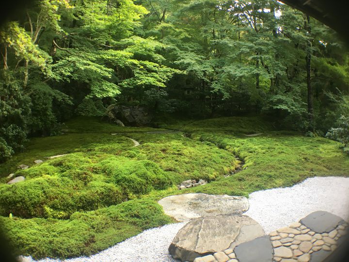 まさにフォトジェニック 緑の絶景に癒される 京都 夏 の名所12選 Retrip リトリップ