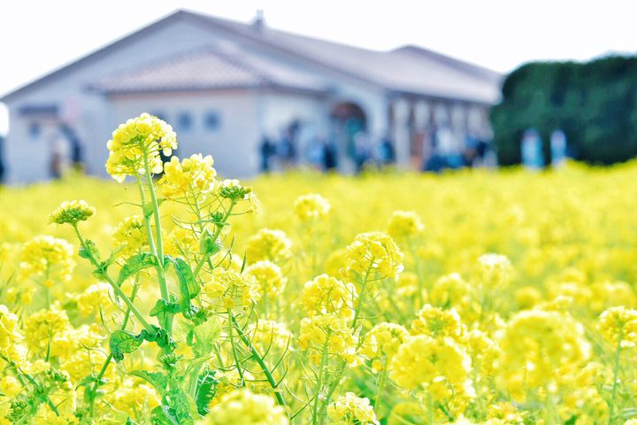 2月なんて一瞬だよ。働き者“東京OLさん”に教える最低限押さえたい7つの楽しみ