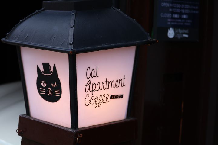 古都に溢れる猫愛 観光ついでに訪れたい京都の猫カフェ10選 Retrip リトリップ