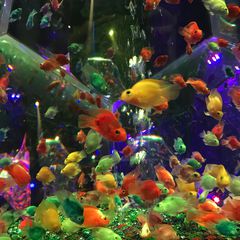 21最新 小伝馬町駅周辺の人気観光スポットランキングtop30 Retrip リトリップ