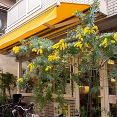 このボリュームを見よ 浅草 喫茶ミモザ のホットケーキがすごいと話題 Retrip リトリップ