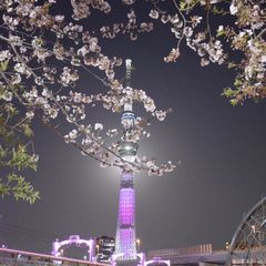 ニュース画像