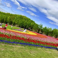 終了 チューリップが織りなす絶景が見たい 北海道にて チューリップ すずらんフェスタ 開催 Retrip リトリップ