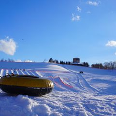 終了 チューリップが織りなす絶景が見たい 北海道にて チューリップ すずらんフェスタ 開催 Retrip リトリップ
